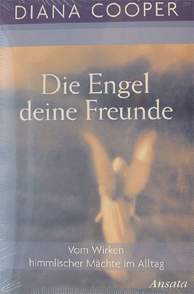 die_engel_deine_freunde.jpg
